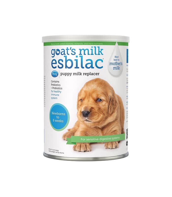 Buy Petag Goats Milk Esbilac Powder Milk Supplement For Puppies at Shopcityfans. Premium quality pet product designed for your pet's health and happiness.