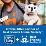 Fresh Step Clumping Cat Litter, Multi-Cat, Long Lasting Odor Control Kitty Litter with Activated Charcoal, Low Dust Formula, 14 lb
